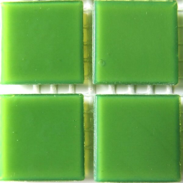 Kiwi green
